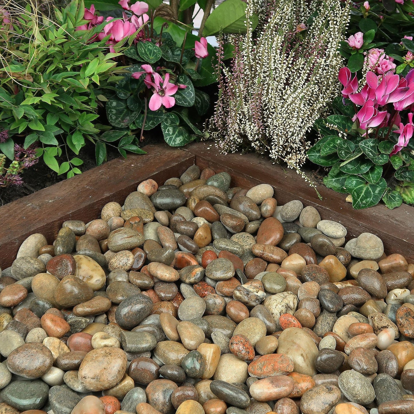 VINICS Pebbles for Indoor Plants 20lbs, 1-2 Inch Natural River Rocks, Hand-Picked Premium Stones for Landscaping and Garden Design, Fish Tank, Flower Pots, Pathways and Backyard, Mixed Color